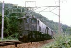 shocho-EF1611