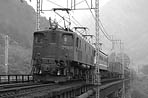 yusha-EF1631