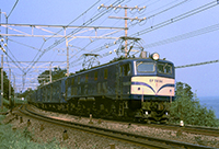 EF5894