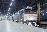 EF5890