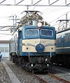 Mr.slim-EF58157-hakutsuru