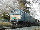 Mr.slim-EF58157-torokko08