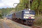 tankai-20041120