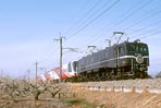 EF5861@悤Ȃ烌C{[