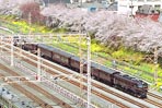 honpo-20010328d