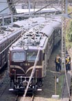 torakichi-20010328d