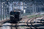 shinagawa530-010924