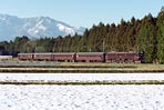 tankai-021214