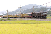 EF5861 Q