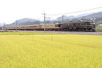 EF5861 Q
