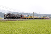 EF5861 Q