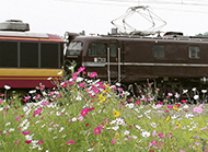 packman-20060917b
