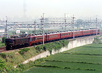 packman-EF5889-orisaro