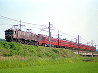 packman-ef5889c