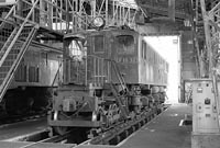 sugi-EF1832