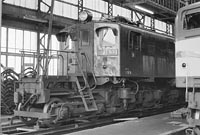 sugi-EF1832