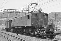sugi-EF1833