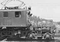 sugi-EF1833
