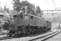 sugi-EF1833