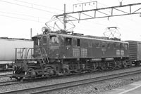 sugi-EF1833