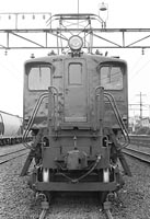 sugi-EF1833