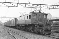 sugi-EF1833
