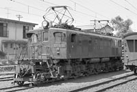 sugi-EF1834