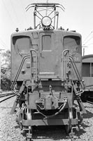sugi-EF1834