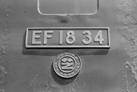 sugi-EF1834