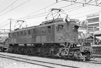 sugi-EF1834