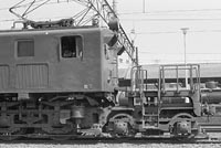 sugi-EF1834