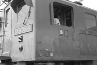 sugi-EF1834
