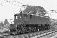 sugi-EF1834