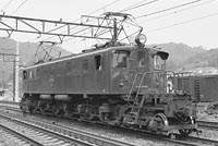 sugi-EF1834