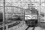 H-yamaguchi-ef5844