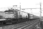 T.F-EF58136