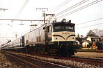 Hiramatsu-EF58110