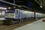 karashima-EF58159
