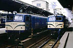 karashima-EF58164