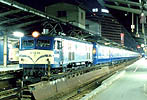 karashima-EF5898