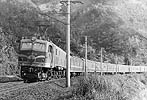 marchin kun-EF58114