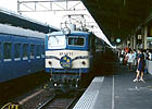morishige-EF5877