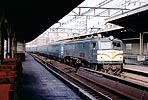 murakami-ef5864