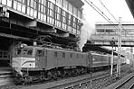 murakichi-EF58160
