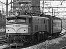 nijinochichi-EF58134