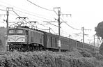 nijinochichi-ef58151