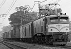 nijinochichi-EF5887