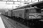 nijinochichi-ef5891