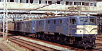 nijinochichi-ef5893
