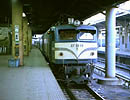 nishimura-EF5858